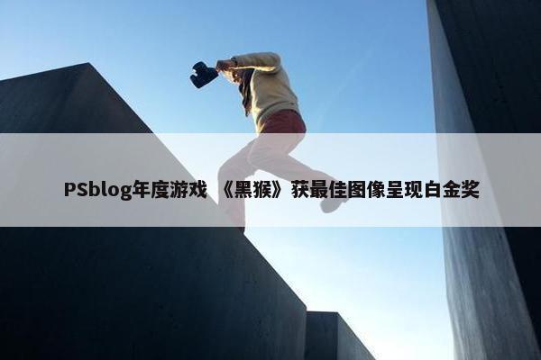 PSblog年度游戏 《黑猴》获最佳图像呈现白金奖