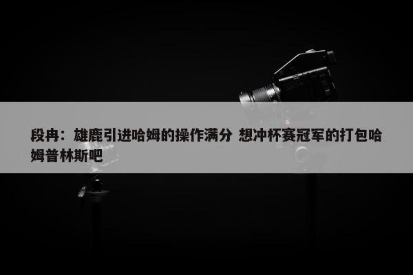 段冉：雄鹿引进哈姆的操作满分 想冲杯赛冠军的打包哈姆普林斯吧