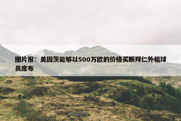 图片报：美因茨能够以500万欧的价格买断拜仁外租球员席布