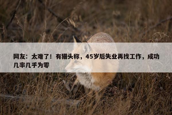 网友：太难了！有猎头称，45岁后失业再找工作，成功几率几乎为零