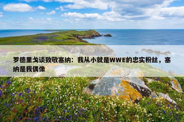 罗德里戈谈致敬塞纳：我从小就是WWE的忠实粉丝，塞纳是我偶像