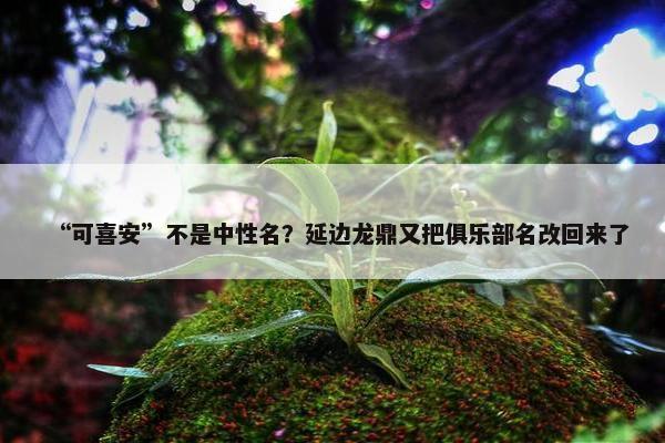 “可喜安”不是中性名？延边龙鼎又把俱乐部名改回来了