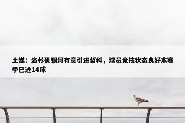 土媒：洛杉矶银河有意引进哲科，球员竞技状态良好本赛季已进14球