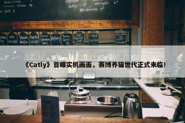 《Catly》首曝实机画面，赛博养猫世代正式来临！