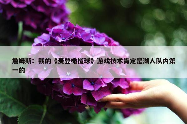 詹姆斯：我的《麦登橄榄球》游戏技术肯定是湖人队内第一的