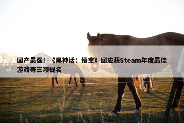 国产最强！《黑神话：悟空》回应获Steam年度最佳游戏等三项提名