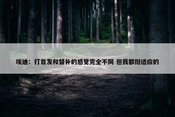 埃迪：打首发和替补的感觉完全不同 但我都挺适应的