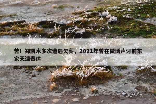 苦！郑凯木多次遭遇欠薪，2021年曾在微博声讨前东家天津泰达