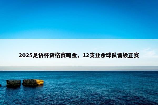 2025足协杯资格赛鸣金，12支业余球队晋级正赛