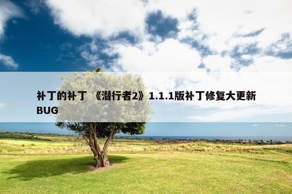 补丁的补丁 《潜行者2》1.1.1版补丁修复大更新BUG