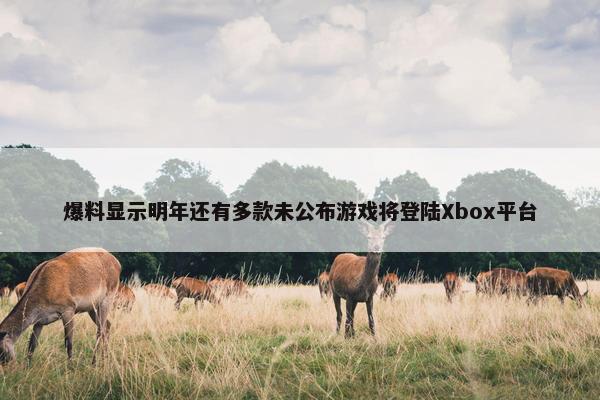 爆料显示明年还有多款未公布游戏将登陆Xbox平台