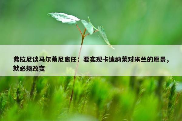 弗拉尼谈马尔蒂尼离任：要实现卡迪纳莱对米兰的愿景，就必须改变