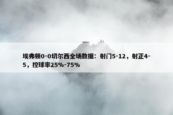 埃弗顿0-0切尔西全场数据：射门5-12，射正4-5，控球率25%-75%