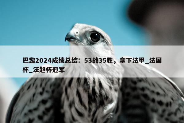 巴黎2024成绩总结：53战35胜，拿下法甲_法国杯_法超杯冠军