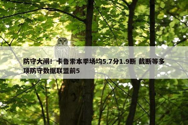 防守大闸！卡鲁索本季场均5.7分1.9断 截断等多项防守数据联盟前5