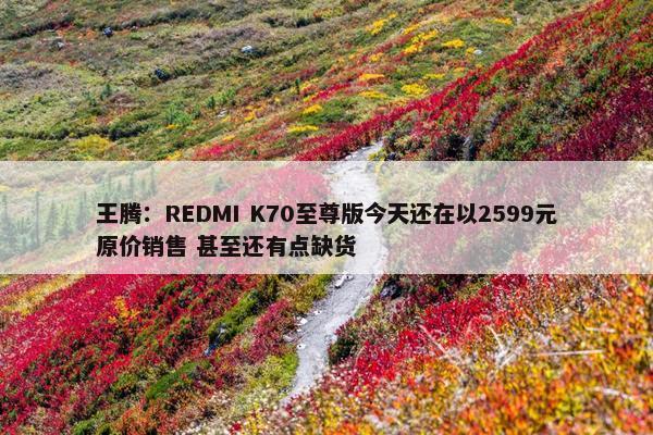 王腾：REDMI K70至尊版今天还在以2599元原价销售 甚至还有点缺货