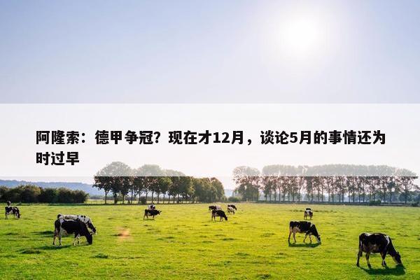 阿隆索：德甲争冠？现在才12月，谈论5月的事情还为时过早