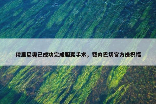 穆里尼奥已成功完成胆囊手术，费内巴切官方送祝福