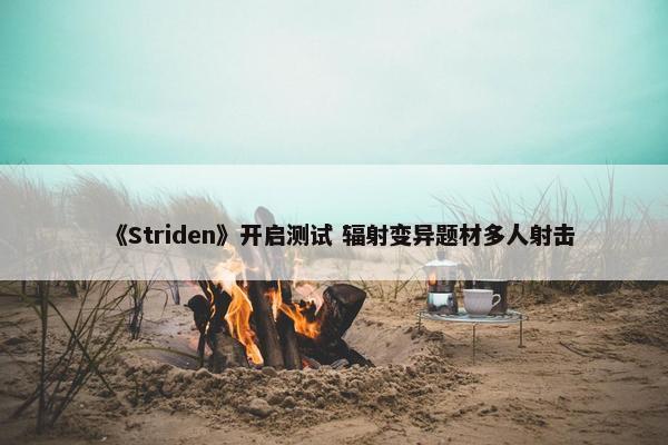 《Striden》开启测试 辐射变异题材多人射击