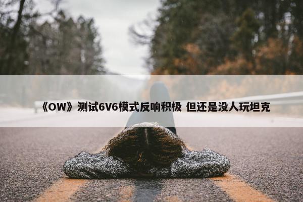 《OW》测试6V6模式反响积极 但还是没人玩坦克