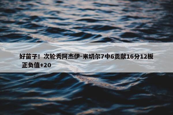 好苗子！次轮秀阿杰伊-米切尔7中6贡献16分12板 正负值+20