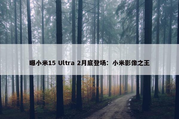 曝小米15 Ultra 2月底登场：小米影像之王