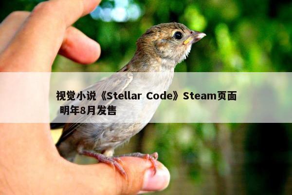 视觉小说《Stellar Code》Steam页面 明年8月发售