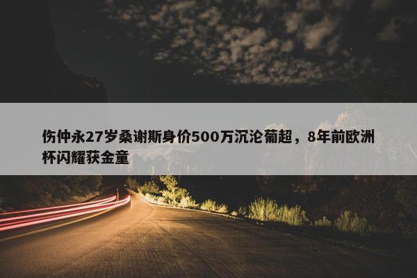 伤仲永27岁桑谢斯身价500万沉沦葡超，8年前欧洲杯闪耀获金童