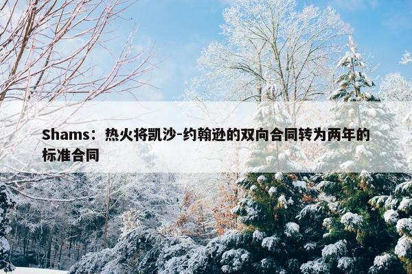 Shams：热火将凯沙-约翰逊的双向合同转为两年的标准合同