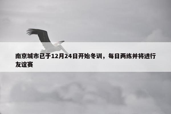 南京城市已于12月24日开始冬训，每日两练并将进行友谊赛