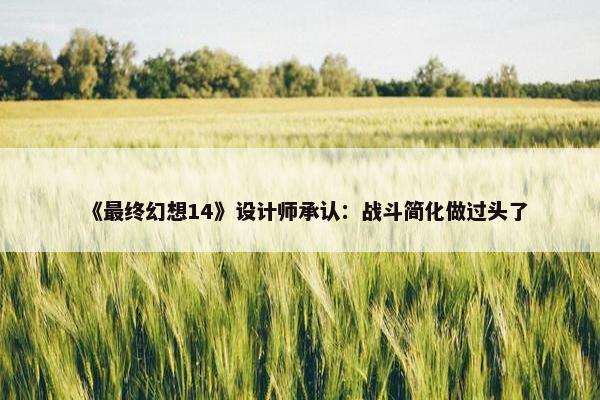 《最终幻想14》设计师承认：战斗简化做过头了