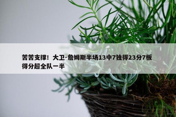 苦苦支撑！大卫-詹姆斯半场13中7独得23分7板 得分超全队一半