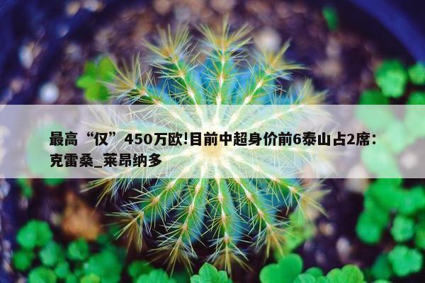 最高“仅”450万欧!目前中超身价前6泰山占2席：克雷桑_莱昂纳多