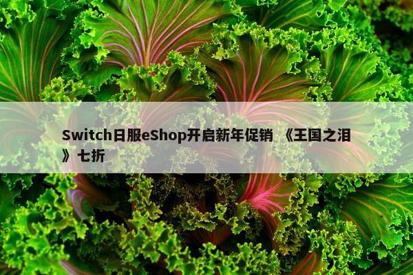 Switch日服eShop开启新年促销 《王国之泪》七折