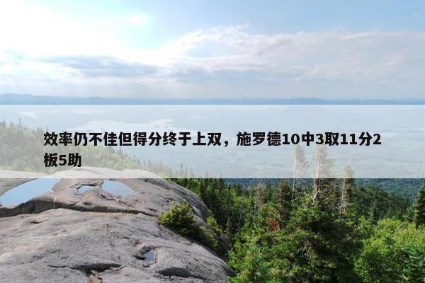 效率仍不佳但得分终于上双，施罗德10中3取11分2板5助