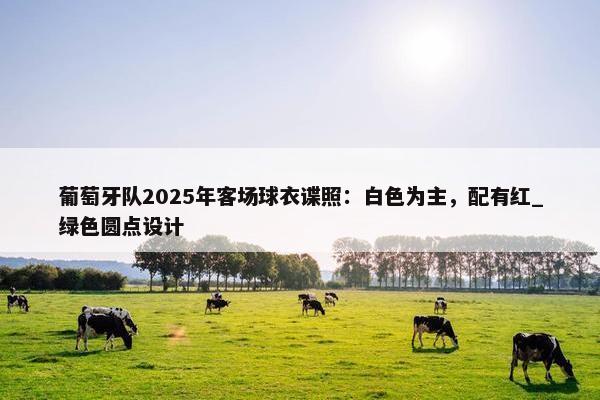 葡萄牙队2025年客场球衣谍照：白色为主，配有红_绿色圆点设计