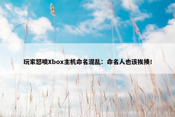 玩家怒喷Xbox主机命名混乱：命名人也该挨揍！