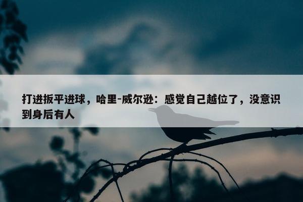 打进扳平进球，哈里-威尔逊：感觉自己越位了，没意识到身后有人