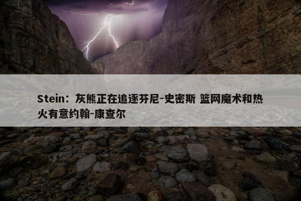 Stein：灰熊正在追逐芬尼-史密斯 篮网魔术和热火有意约翰-康查尔