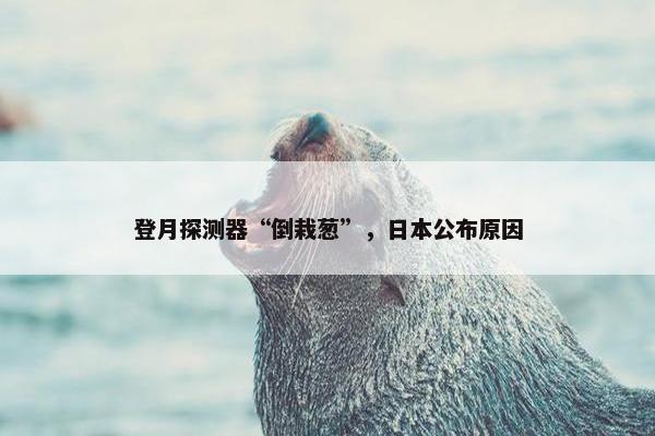 登月探测器“倒栽葱”，日本公布原因