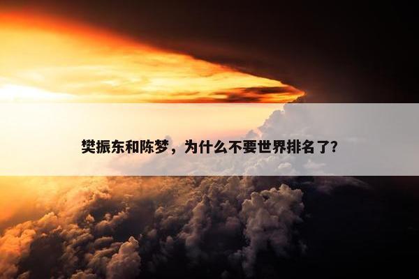 樊振东和陈梦，为什么不要世界排名了？