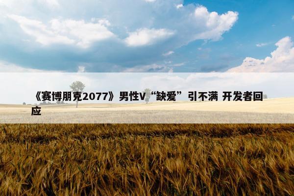 《赛博朋克2077》男性V“缺爱”引不满 开发者回应