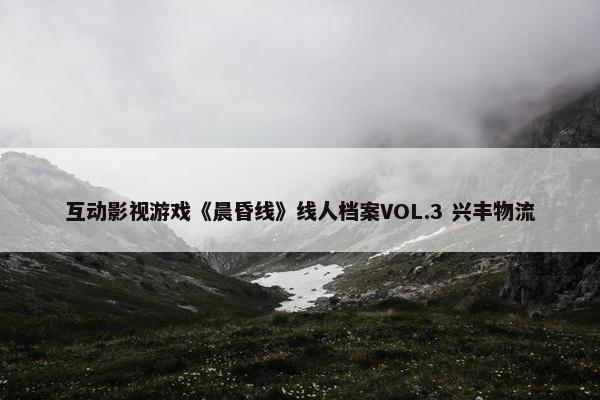 互动影视游戏《晨昏线》线人档案VOL.3 兴丰物流