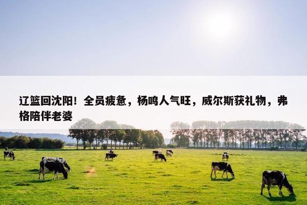 辽篮回沈阳！全员疲惫，杨鸣人气旺，威尔斯获礼物，弗格陪伴老婆