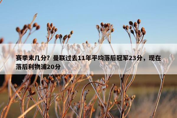 赛季末几分？曼联过去11年平均落后冠军23分，现在落后利物浦20分