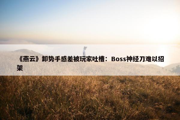 《燕云》卸势手感差被玩家吐槽：Boss神经刀难以招架