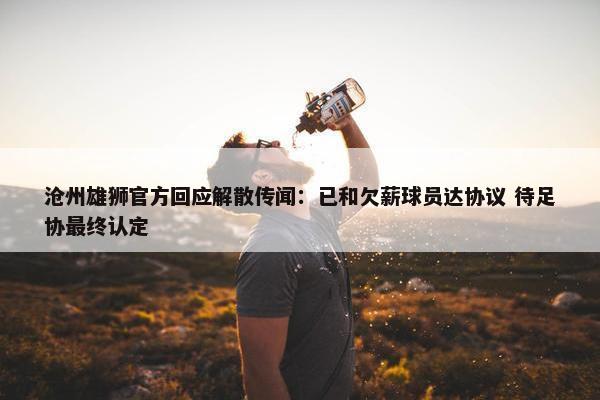 沧州雄狮官方回应解散传闻：已和欠薪球员达协议 待足协最终认定