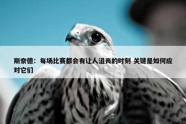 斯奈德：每场比赛都会有让人沮丧的时刻 关键是如何应对它们