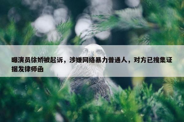 曝演员徐娇被起诉，涉嫌网络暴力普通人，对方已搜集证据发律师函