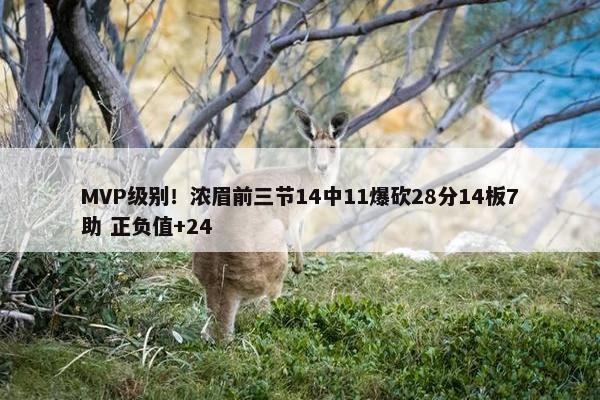 MVP级别！浓眉前三节14中11爆砍28分14板7助 正负值+24